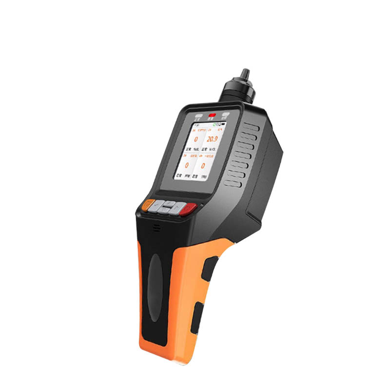 Portable gas detector